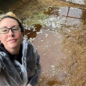 username, area photo