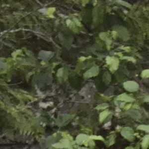username, area photo