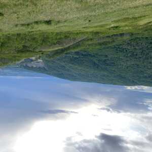 username, area photo