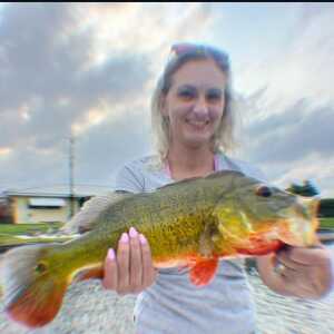 username, area photo