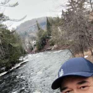 username, area photo