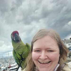 username, area photo